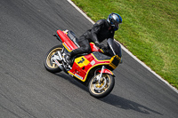 Vintage-motorcycle-club;eventdigitalimages;mallory-park;mallory-park-trackday-photographs;no-limits-trackdays;peter-wileman-photography;trackday-digital-images;trackday-photos;vmcc-festival-1000-bikes-photographs